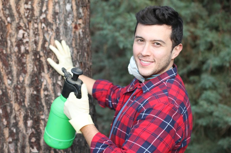 Tree Pests and Diseases Inspection in Newnan & Peachtree City, GA